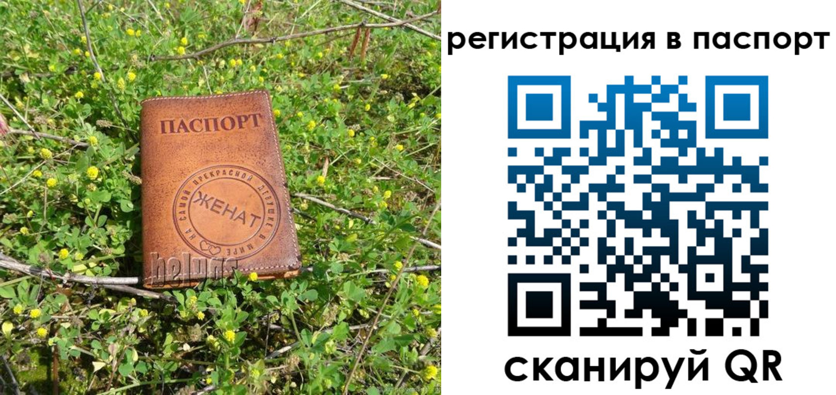 прописка законно в Галиче